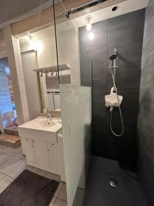 une salle de bain avec douche et lavabo dans l'établissement Le chalet Lili, à Gérardmer