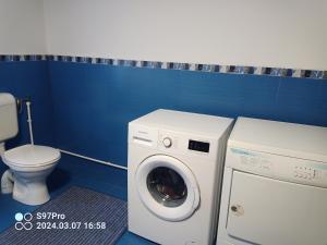 a bathroom with a washing machine and a toilet at Casa Cosmina in Chişcădaga