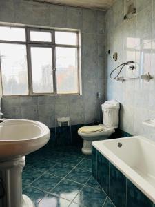 e bagno con vasca, servizi igienici e lavandino. di Goza Guest House 22 ad Addis Abeba