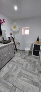 ein Badezimmer mit einem WC, einem Waschbecken und einer Theke in der Unterkunft Le pat' toit in Aurec-sur-Loire