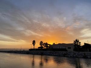 a sunset over a body of water with palm trees at T2 Dans le vent Gruissan bord de mer in Gruissan