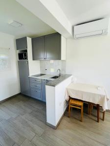Köök või kööginurk majutusasutuses Apartments Jagodje