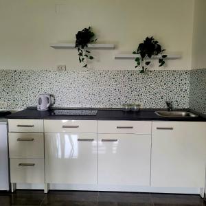 a kitchen with white cabinets and plants on the wall at Apartman Mate in Rakovica