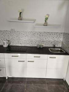 a kitchen with white cabinets and a sink at Apartman Mate in Rakovica