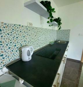 a kitchen with a counter with a toaster on it at Apartman Mate in Rakovica