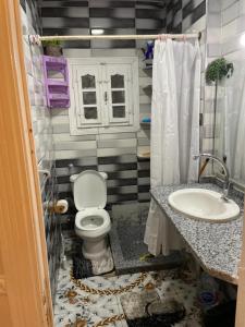 een badkamer met een toilet en een wastafel bij Cozy Flat near downtown Almorsi in Alexandrië