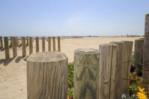a group of wooden posts on the beach at Le Bella Vista Vue Port Carnon Proche Plage in Mauguio