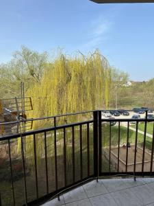 a view of a weeping willow tree from a balcony at Przytulne mieszkanie blisko kanalu in Giżycko