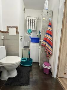 a small bathroom with a toilet and a shower at Przytulne mieszkanie blisko kanalu in Giżycko