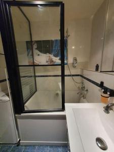 a bathroom with a shower and a sink and a tub at Appartement pour un couple, jacuzzi en été, jardin in Geneva