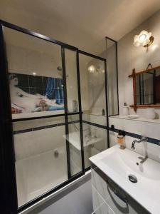 a bathroom with a shower and a sink and a tub at Appartement pour un couple, jacuzzi en été, jardin in Geneva