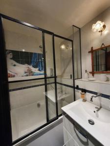 une salle de bain avec une douche, un lavabo et une baignoire dans l'établissement Appartement pour un couple, jardin, à Genève