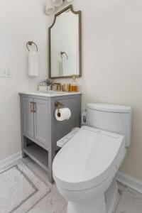 a bathroom with a white toilet and a mirror at Blue Haven of Rosewood in Columbia