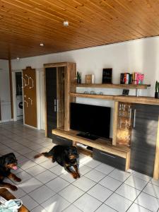 two dogs laying on the floor in a living room with a tv at Zur Fellnase in Horka