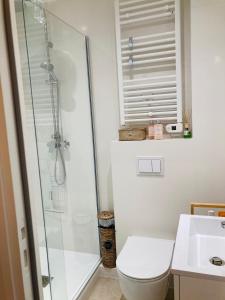a bathroom with a shower and a toilet and a sink at MAZET RÉNOVE Golfe de st TROPEZ in Cogolin +30 photos