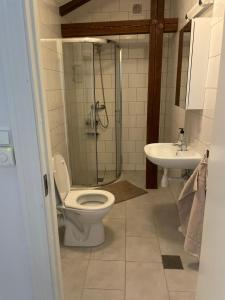 a bathroom with a shower and a toilet and a sink at Private Rom for two in Oslo City center-Main Street-Walking distance in Oslo