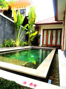 a swimming pool in front of a house at Jayastuti House in Ubud