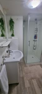 a white bathroom with a shower and a sink at Mobile home San Antonio in Sveti Filip i Jakov
