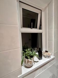 康斯坦丁的住宿－Cosy bedroom in Central Cornwall，架子上植物浴室的窗户