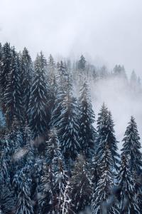 Hotel Jungfraublick durante el invierno