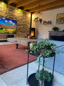 a living room with a table with a plant at Charmant corps de ferme à la montagne. in Montsérié