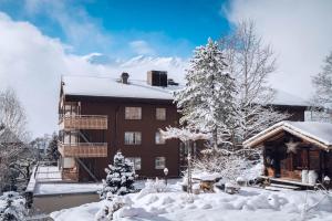 Hotel Jungfraublick durante el invierno