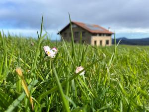 Fotografie z fotogalerie ubytování Caserío Bizkar v destinaci Aia