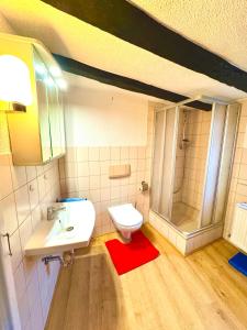 ein Bad mit einem WC, einem Waschbecken und einer Dusche in der Unterkunft Rheinglück in Kamp-Bornhofen