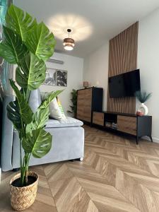 TV a/nebo společenská místnost v ubytování Apartament Holiday Mini Gold + 26 fotografií
