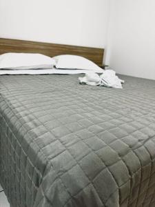 1 cama grande con 2 almohadas en PORTAL PARQUE HOTEL, en Francisco Beltrão