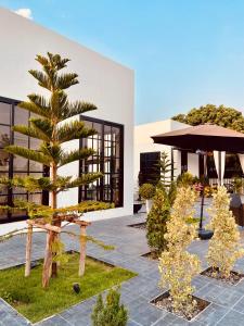a courtyard with a palm tree and an umbrella at Clubhouse Mark in Ban Kham Bon