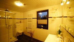 a bathroom with a shower and a toilet and a window at 4-Personen-Ferienwohnung-im-Wald-mit-Kamin-84-Qudratmeter in Bad Harzburg +24 photos