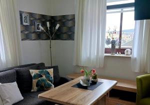 ein Wohnzimmer mit einem Couchtisch und einem Fenster in der Unterkunft Apartments - Lehmanns Ferienwohnungen in Kurort Oberwiesenthal