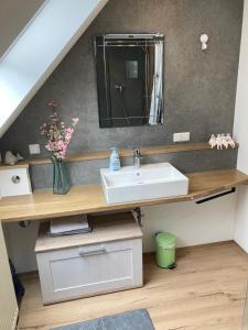 een badkamer met een wastafel en een spiegel bij Ferienwohnung Kellerer 2 in Waischenfeld