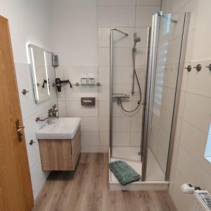 een badkamer met een douche en een wastafel bij Clausthaler Herz 2 FaFeWo in Clausthal-Zellerfeld