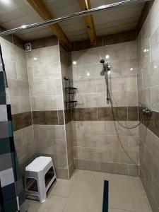 a bathroom with a shower with a stool in it at Agroturystyka Nielisz Zamość - Kwatery przy Skansenie in Nielisz