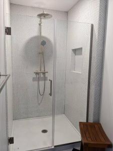 a shower with a glass door in a bathroom at Hudson River Cliff House in Saugerties