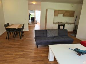 a living room with a couch and a table at GardenLoft no4 - enjoy in Vienna +7 photos