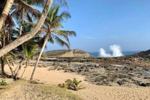 - une plage avec des palmiers et l'océan avec des vagues dans l'établissement Casa Lula Beach Retreat - Dog friendly, Fenced backyard, à Arecibo