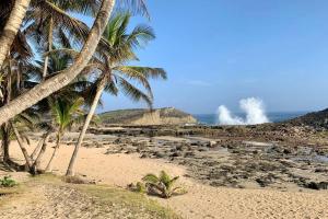 a beach with palm trees and the ocean with waves at Casa Lula Beach Retreat - Dog friendly, Fenced backyard in Arecibo