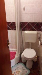 een kleine badkamer met een toilet en een douche bij Apartment ZlataV - 250 m from sea in Crikvenica