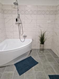 Ένα μπάνιο στο Türkiz Apartman +7 φωτογραφίες