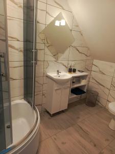 ein Bad mit einem Waschbecken, einer Dusche und einem Spiegel in der Unterkunft Biały Bocian in Stegers