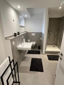 a bathroom with a sink and a shower at LIMA FeWo Apartment in Friesenheim