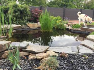 Ein Garten an der Unterkunft Fewo-Eifelfroh