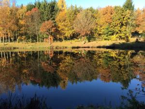 Naturlandschaft in der Nähe des Ferienhauses