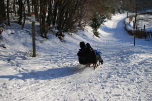 Fewo-Eifelfroh im Winter