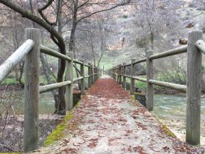 un puente sobre un río con hojas. en El enebrón - Hoces del río Duratón, 