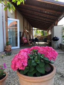 Fotografia z galérie ubytovania Apartmán Železnice v destinácii Železnice