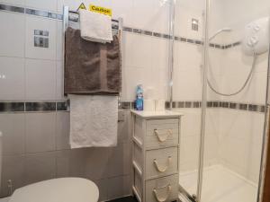 a bathroom with a shower and a toilet and a sink at Lake View Cottage in Longford